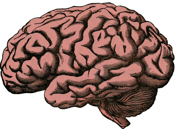 5 Filarów Zdrowego Mózgu – rozszerzony poradnik